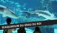 Visite guidée en anglais - Seaquarium